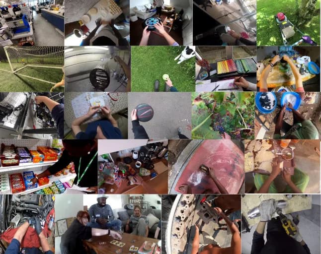 Ego4D dataset sample.