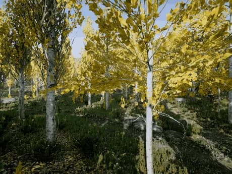 TartanAir image_left — seasonsforest / Easy / P010.
