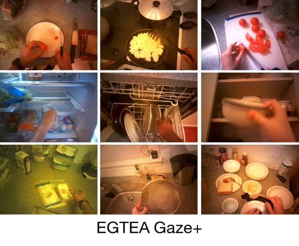 EGTEA Gaze+ official project page preview.