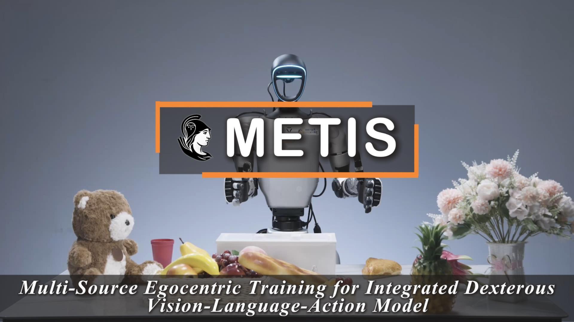 METIS official project page preview.