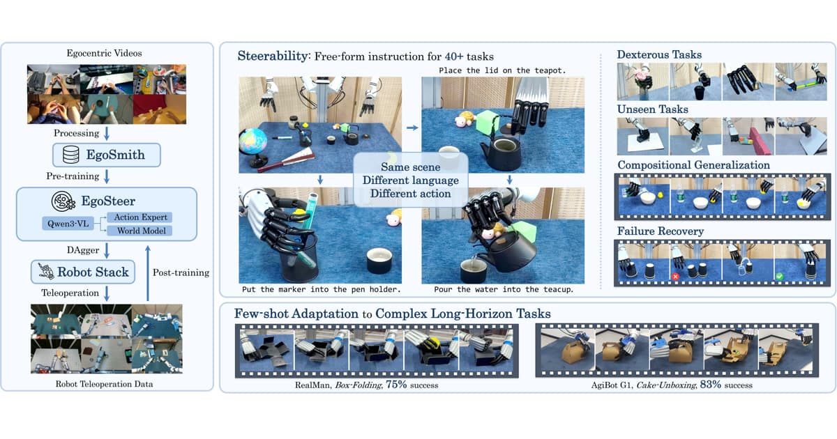 EgoSteer official source preview.