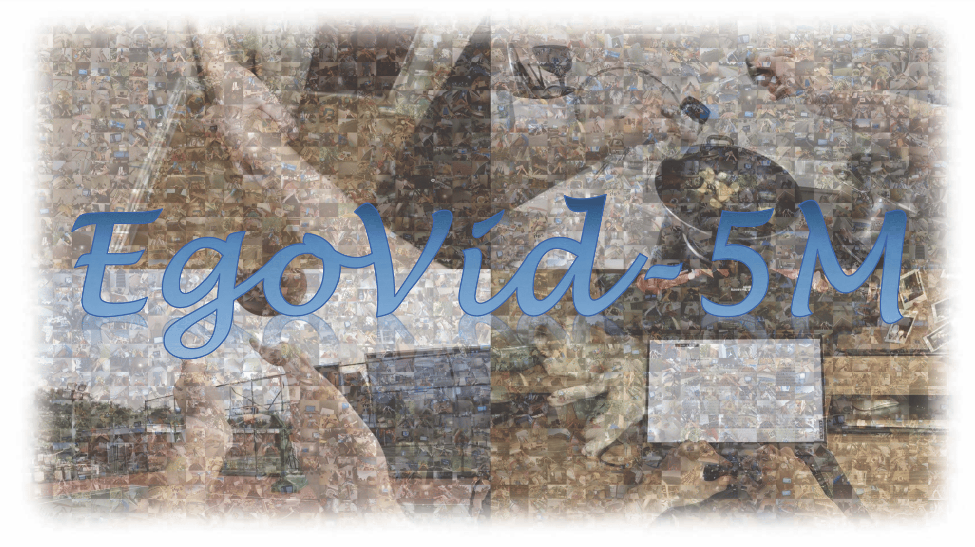 EgoVid-5M official source preview.