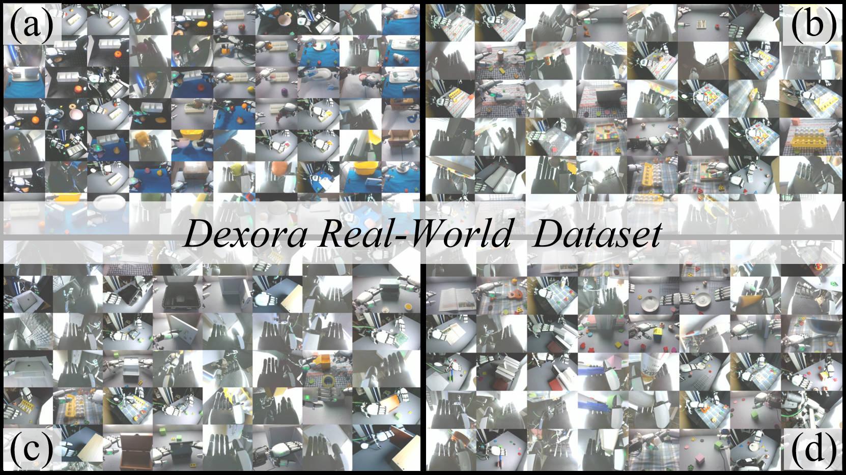 Dexora official source preview.